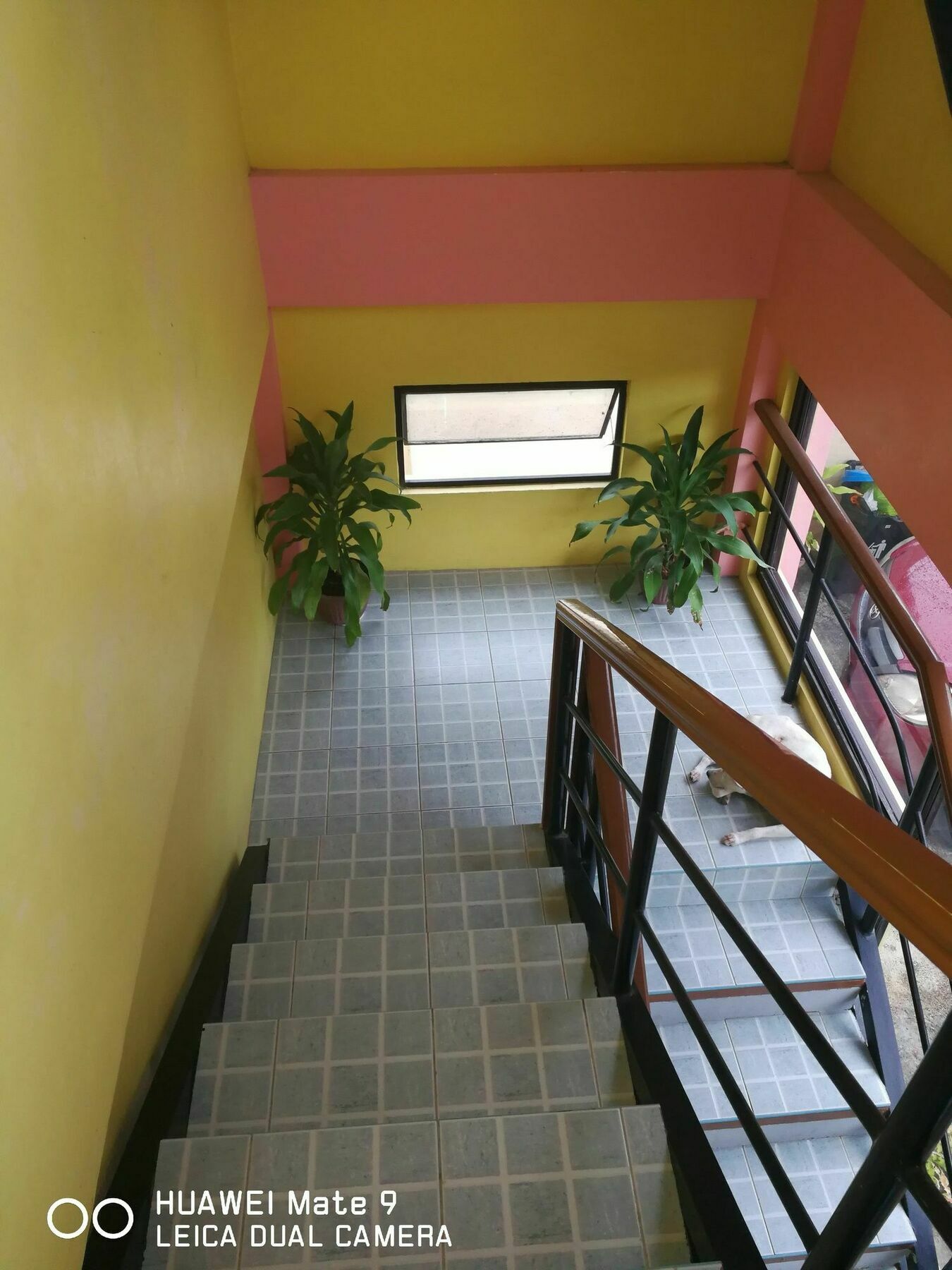 A'S Azotea De Bohol - Back-Packers Room 3 Tagbilaran City Exterior photo